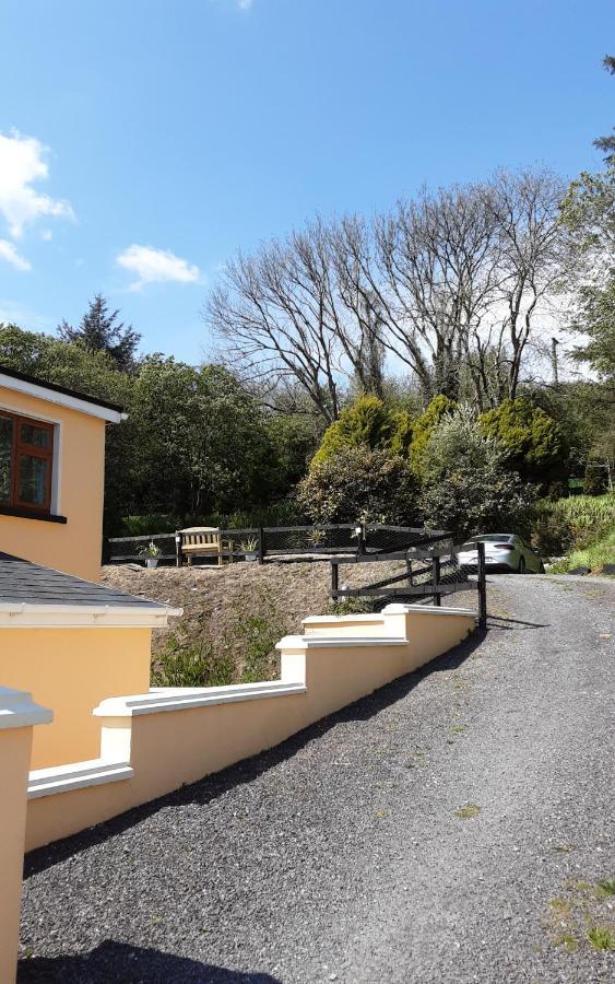 Sea Lodge B&B Durrus Exteriér fotografie